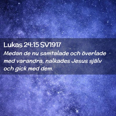 Picture 02 - Lukas 24:15 SV1917 - Medan de nu samtalade och överlade med varandra, - Bible Verse Picture