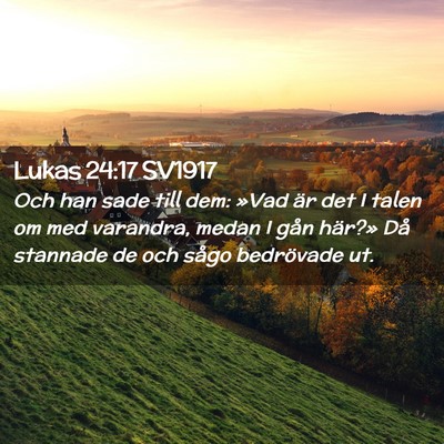 Picture 02 - Lukas 24:17 SV1917 - Och han sade till dem: »Vad är det I talen om - Bible Verse Picture