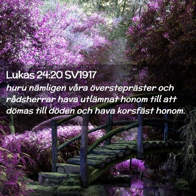 Picture 02 - Lukas 24:20 SV1917 - huru nämligen våra överstepräster och - Bible Verse Picture