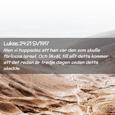 Picture 02 - Lukas 24:21 SV1917 - Men vi hoppades att han var den som skulle - Bible Verse Picture