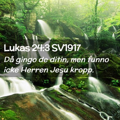 Picture 02 - Lukas 24:3 SV1917 - Då gingo de ditin, men funno icke Herren Jesu - Bible Verse Picture