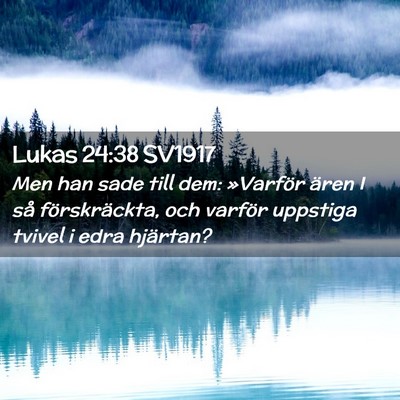 Picture 02 - Lukas 24:38 SV1917 - Men han sade till dem: »Varför ären I så - Bible Verse Picture
