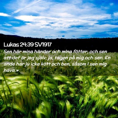 Picture 02 - Lukas 24:39 SV1917 - Sen här mina händer och mina fötter, och sen - Bible Verse Picture