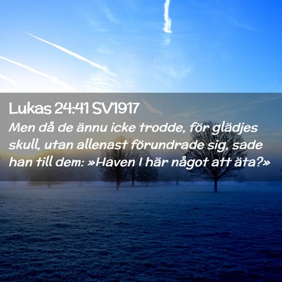 Picture 02 - Lukas 24:41 SV1917 - Men då de ännu icke trodde, för glädjes - Bible Verse Picture