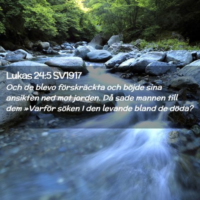 Picture 02 - Lukas 24:5 SV1917 - Och de blevo förskräckta och böjde sina - Bible Verse Picture