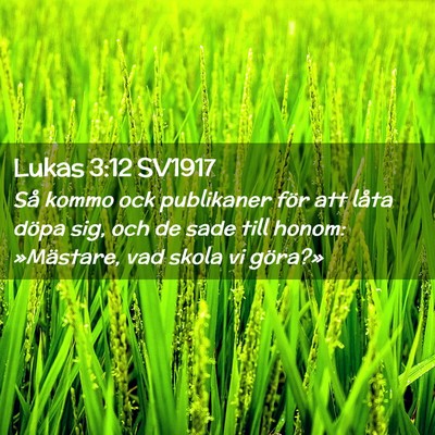 Picture 02 - Lukas 3:12 SV1917 - Så kommo ock publikaner för att låta döpa - Bible Verse Picture