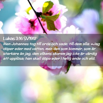 Picture 02 - Lukas 3:16 SV1917 - Men Johannes tog till orda och sade: till dem - Bible Verse Picture