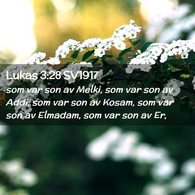 Picture 02 - Lukas 3:28 SV1917 - som var son av Melki, som var son av Addi, som - Bible Verse Picture
