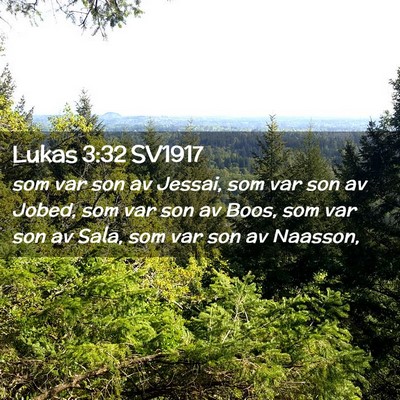 Picture 02 - Lukas 3:32 SV1917 - som var son av Jessai, som var son av Jobed, som - Bible Verse Picture
