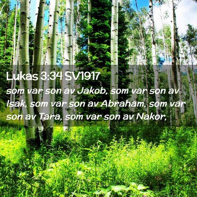 Picture 02 - Lukas 3:34 SV1917 - som var son av Jakob, som var son av Isak, som - Bible Verse Picture