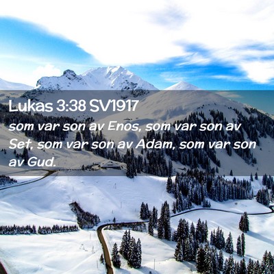 Picture 02 - Lukas 3:38 SV1917 - som var son av Enos, som var son av Set, som var - Bible Verse Picture