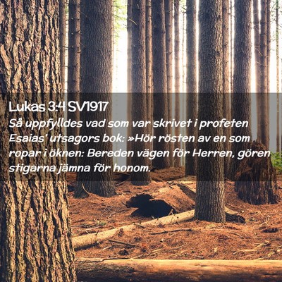 Picture 02 - Lukas 3:4 SV1917 - Så uppfylldes vad som var skrivet i profeten - Bible Verse Picture