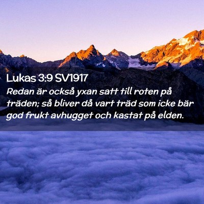 Picture 02 - Lukas 3:9 SV1917 - Redan är också yxan satt till roten på - Bible Verse Picture