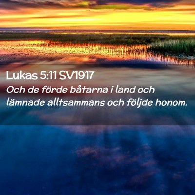 Picture 02 - Lukas 5:11 SV1917 - Och de förde båtarna i land och lämnade - Bible Verse Picture