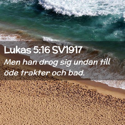 Picture 02 - Lukas 5:16 SV1917 - Men han drog sig undan till öde trakter och - Bible Verse Picture
