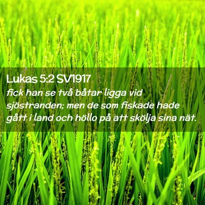 Picture 02 - Lukas 5:2 SV1917 - fick han se två båtar ligga vid sjöstranden; - Bible Verse Picture