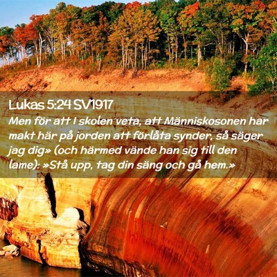 Picture 02 - Lukas 5:24 SV1917 - Men för att I skolen veta, att Människosonen - Bible Verse Picture