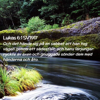 Picture 02 - Lukas 6:1 SV1917 - Och det hände sig på en sabbat att han tog - Bible Verse Picture