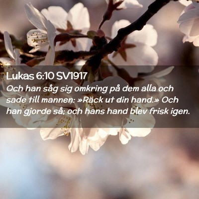 Picture 02 - Lukas 6:10 SV1917 - Och han såg sig omkring på dem alla och sade - Bible Verse Picture