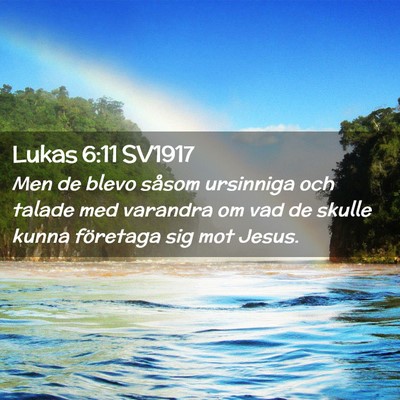 Picture 02 - Lukas 6:11 SV1917 - Men de blevo såsom ursinniga och talade med - Bible Verse Picture