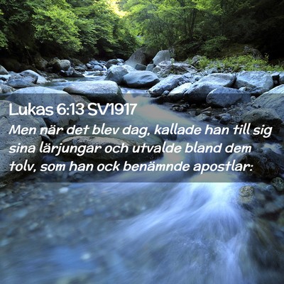 Picture 02 - Lukas 6:13 SV1917 - Men när det blev dag, kallade han till sig sina - Bible Verse Picture