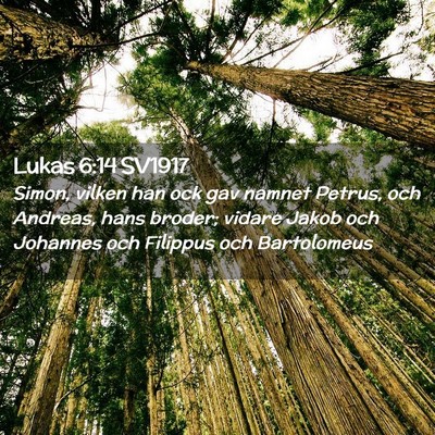 Picture 02 - Lukas 6:14 SV1917 - Simon, vilken han ock gav namnet Petrus, och - Bible Verse Picture