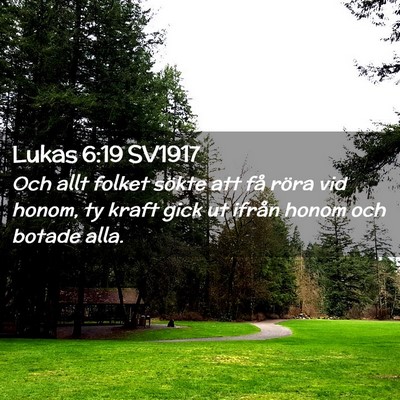 Picture 02 - Lukas 6:19 SV1917 - Och allt folket sökte att få röra vid honom, - Bible Verse Picture