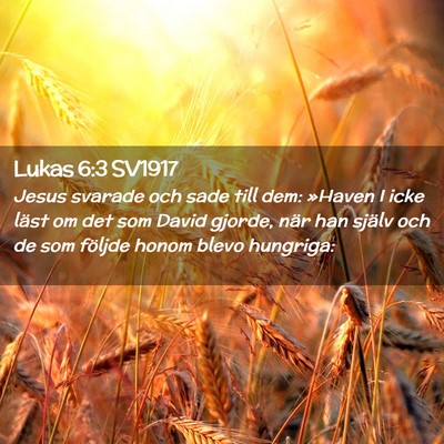 Picture 02 - Lukas 6:3 SV1917 - Jesus svarade och sade till dem: »Haven I icke - Bible Verse Picture
