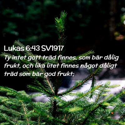 Picture 02 - Lukas 6:43 SV1917 - Ty intet gott träd finnes, som bär dålig - Bible Verse Picture