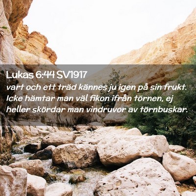 Picture 02 - Lukas 6:44 SV1917 - vart och ett träd kännes ju igen på sin frukt. - Bible Verse Picture
