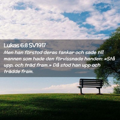 Picture 02 - Lukas 6:8 SV1917 - Men han förstod deras tankar och sade till - Bible Verse Picture