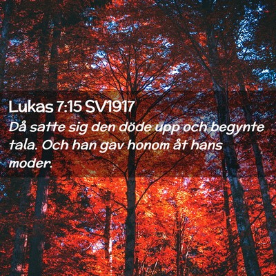 Picture 02 - Lukas 7:15 SV1917 - Då satte sig den döde upp och begynte tala. Och - Bible Verse Picture