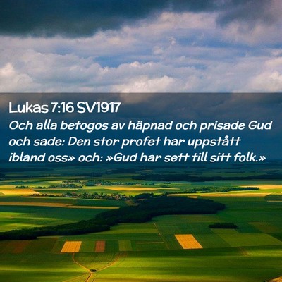 Picture 02 - Lukas 7:16 SV1917 - Och alla betogos av häpnad och prisade Gud och - Bible Verse Picture