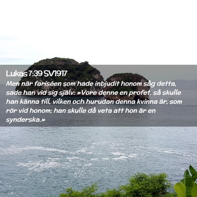 Picture 02 - Lukas 7:39 SV1917 - Men när fariséen som hade inbjudit honom såg - Bible Verse Picture
