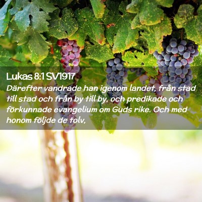 Picture 02 - Lukas 8:1 SV1917 - Därefter vandrade han igenom landet, från stad - Bible Verse Picture