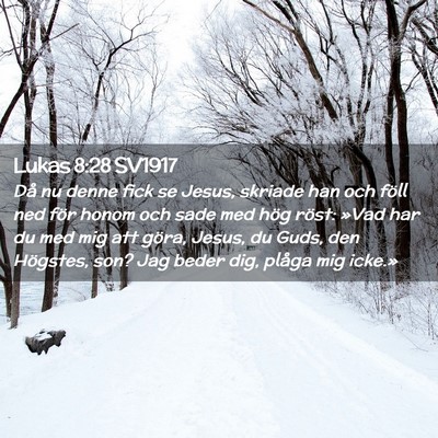 Picture 02 - Lukas 8:28 SV1917 - Då nu denne fick se Jesus, skriade han och föll - Bible Verse Picture