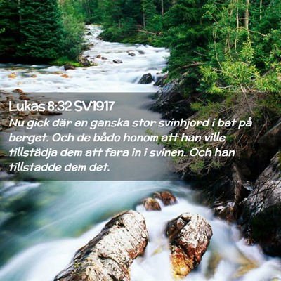 Picture 02 - Lukas 8:32 SV1917 - Nu gick där en ganska stor svinhjord i bet på - Bible Verse Picture