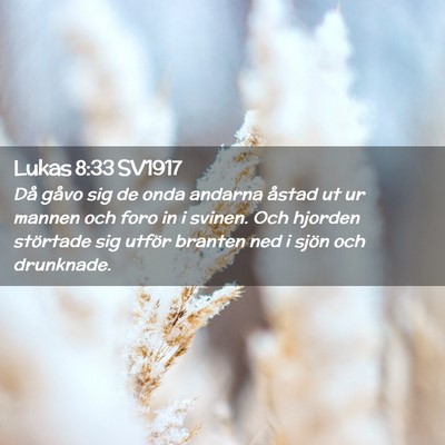 Picture 02 - Lukas 8:33 SV1917 - Då gåvo sig de onda andarna åstad ut ur mannen - Bible Verse Picture