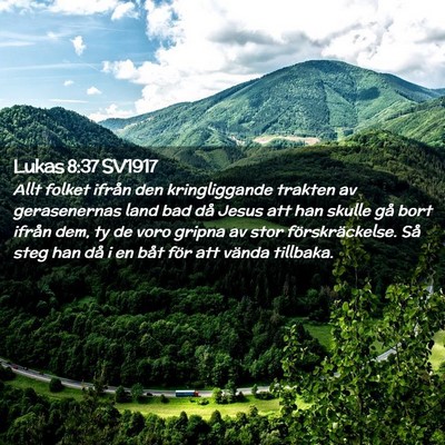 Picture 02 - Lukas 8:37 SV1917 - Allt folket ifrån den kringliggande trakten av - Bible Verse Picture
