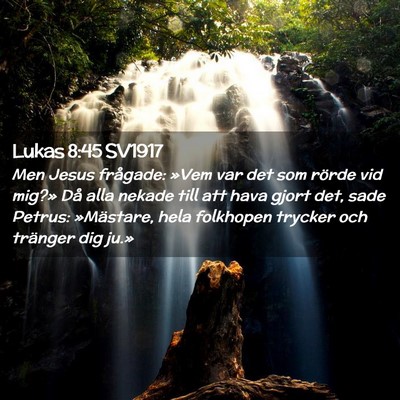Picture 02 - Lukas 8:45 SV1917 - Men Jesus frågade: »Vem var det som rörde vid - Bible Verse Picture