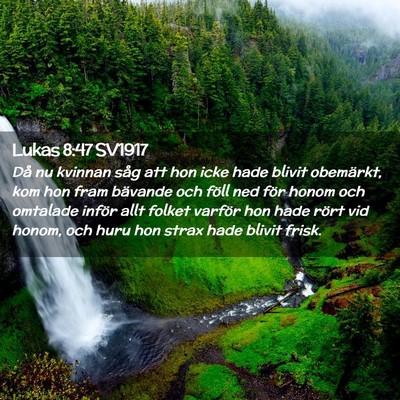 Picture 02 - Lukas 8:47 SV1917 - Då nu kvinnan såg att hon icke hade blivit - Bible Verse Picture