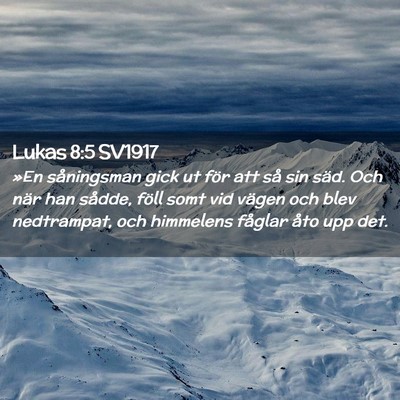 Picture 02 - Lukas 8:5 SV1917 - »En såningsman gick ut för att så sin säd. - Bible Verse Picture