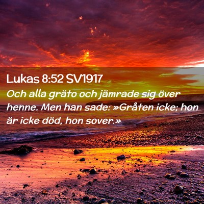 Picture 02 - Lukas 8:52 SV1917 - Och alla gräto och jämrade sig över henne. Men - Bible Verse Picture