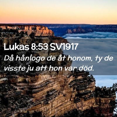 Picture 02 - Lukas 8:53 SV1917 - Då hånlogo de åt honom, ty de visste ju att - Bible Verse Picture