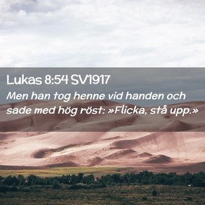 Picture 02 - Lukas 8:54 SV1917 - Men han tog henne vid handen och sade med hög - Bible Verse Picture