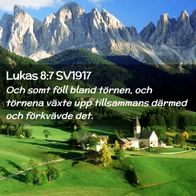 Picture 02 - Lukas 8:7 SV1917 - Och somt föll bland törnen, och törnena växte - Bible Verse Picture
