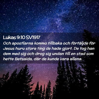 Picture 02 - Lukas 9:10 SV1917 - Och apostlarna kommo tillbaka och förtäljde - Bible Verse Picture