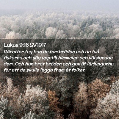 Picture 02 - Lukas 9:16 SV1917 - Därefter tog han de fem bröden och de två - Bible Verse Picture