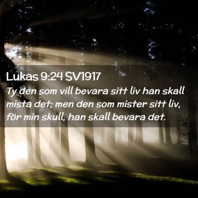 Picture 02 - Lukas 9:24 SV1917 - Ty den som vill bevara sitt liv han skall mista - Bible Verse Picture