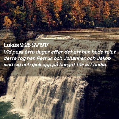 Picture 02 - Lukas 9:28 SV1917 - Vid pass åtta dagar efter det att han hade talat - Bible Verse Picture
